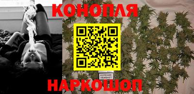 spice Славгород