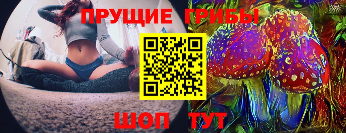 Реж  Галлюциногенные грибы Psilocybine cubensis  Вход с VPN 